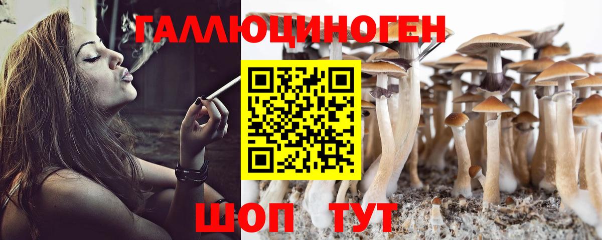 Владимир  Псилоцибиновые грибы GOLDEN TEACHER  наркошоп  Вход с VPN 