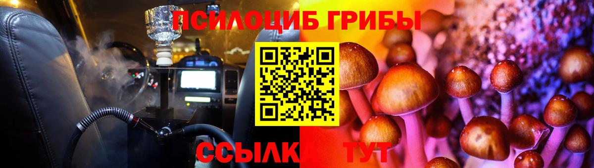 Галлюциногенные грибы Psilocybine cubensis Владимир